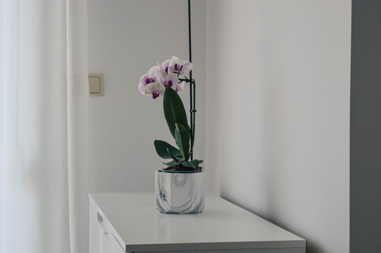 Apartment Valentina زادار المظهر الخارجي الصورة